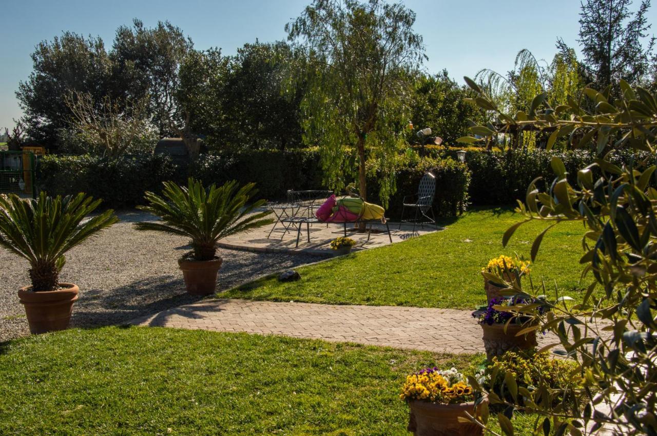 Agriturismo Il Cuscino Nel Pagliaio Campiglia Marittima Exterior foto